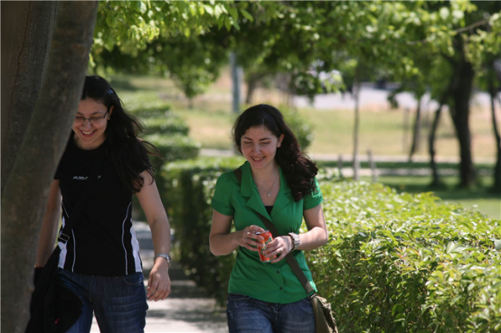 İstanbul Teknik Üniversitesi