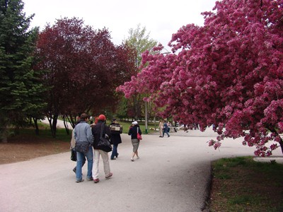 Hacettepe Üniversitesi