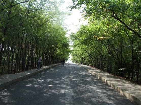 İstanbul Teknik Üniversitesi