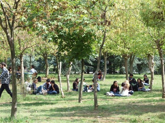 İstanbul Teknik Üniversitesi