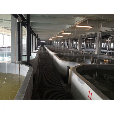 İKÇ’den Çin’e uzanan akademik işbirliği köprüsü