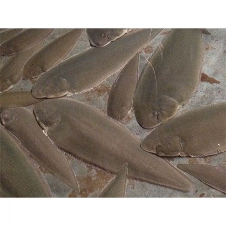 İKÇ’den Çin’e uzanan akademik işbirliği köprüsü