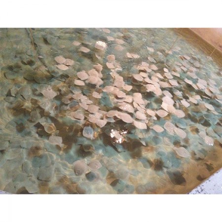 İKÇ’den Çin’e uzanan akademik işbirliği köprüsü