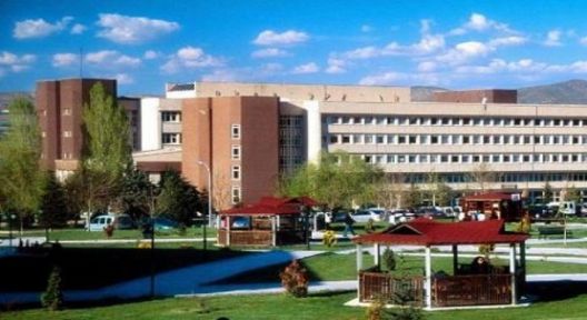 Her üniversiteye 2 rektörlük önerisi