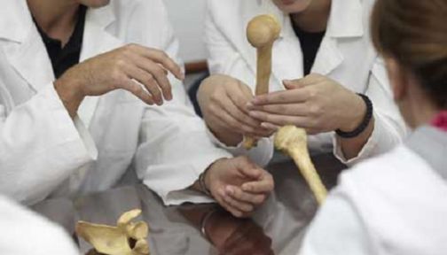 Tıp Fakültesi Giresunda, öğrencileri Sivas'ta!