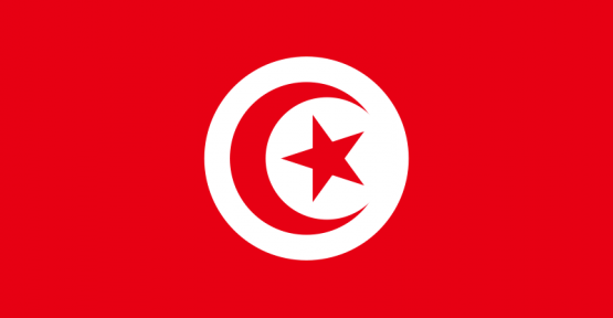 Tunus'ta Türkçe seçmeli ders oluyor