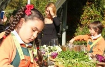 Minik eller turşu kurdu