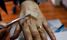 Türk bilimciler örümceğin kozasından doku onarım malzemesi üretti