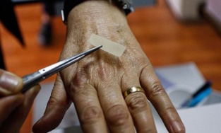 Türk bilimciler örümceğin kozasından doku onarım malzemesi üretti