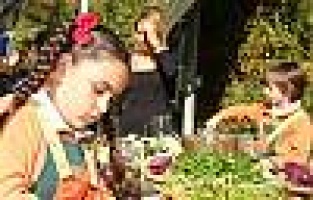 Minik eller turşu kurdu