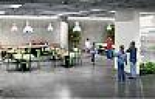 TED Koleji,Tema İSTANBUL’da!