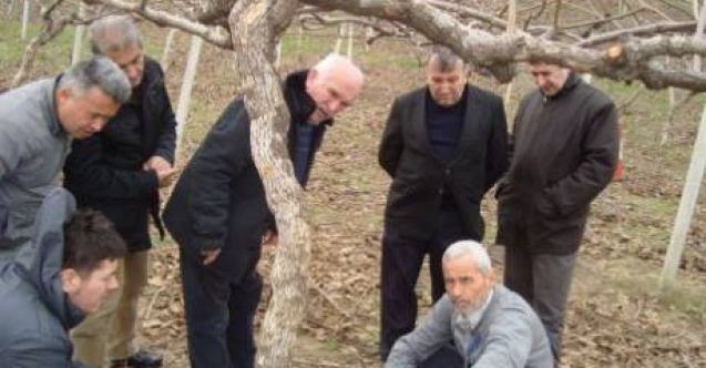 Çiftçilere kivi budama,seracılık ve ekoturizm eğitimi